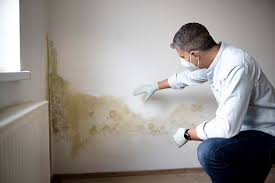 Best Forensic Mold Investigation  in Granite Falls, MN